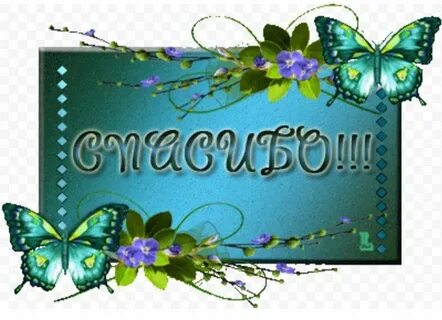 Спасибо оформила