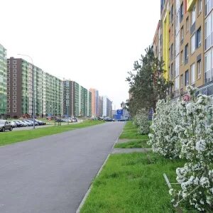 Воронцовский бульвар мурино на карте