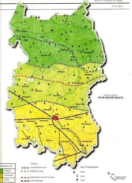 В какой природной зоне омская область. Природные зоны Омской области карта. Карта лесных зон Омской области. Карта-схема лесов Омская область. Карта лесов Омской области подробная.