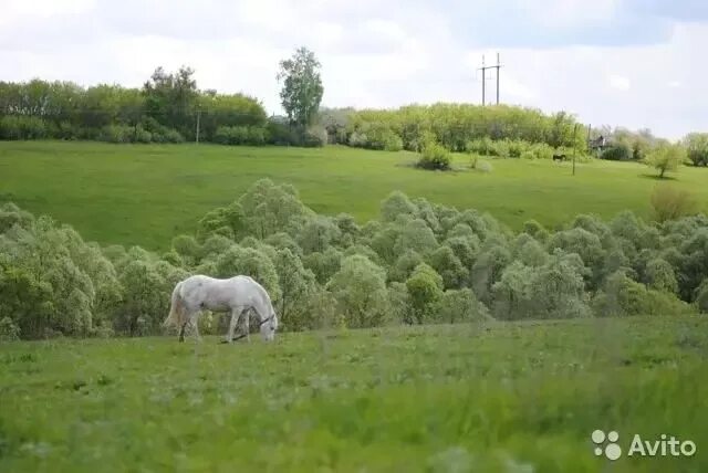 Артюховка курская область. Деревня артюховка. Артюховка курская область. Д артюховка курская область октябрьский р-н. Деревня октябрьское курская область.