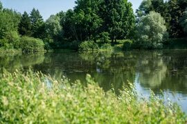 В деревне Ляхово восстановили доступ к пруду Домодедовод - все о Домодедово