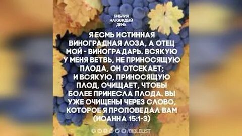 Ты есть моя лоза святая