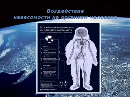 Невесомость влияние