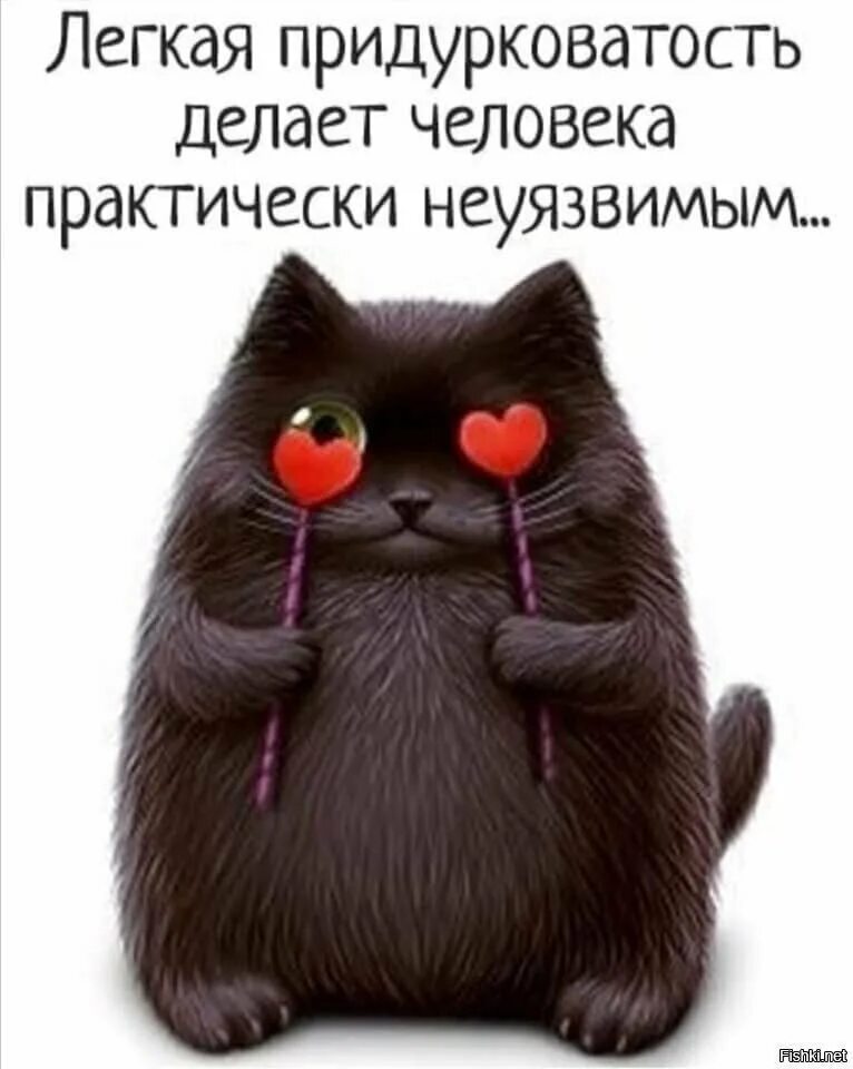 Лёгкая придурковатость делает человека практически. Лёгкая придурковатость делает человека. Лёгкая придурковатость делает человека. Легкая придурковатость делает. Легкая придурковатость делает женщину практически неуязвимой.