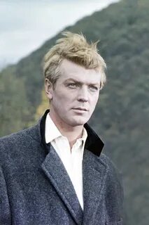 Стриженов актер википедия