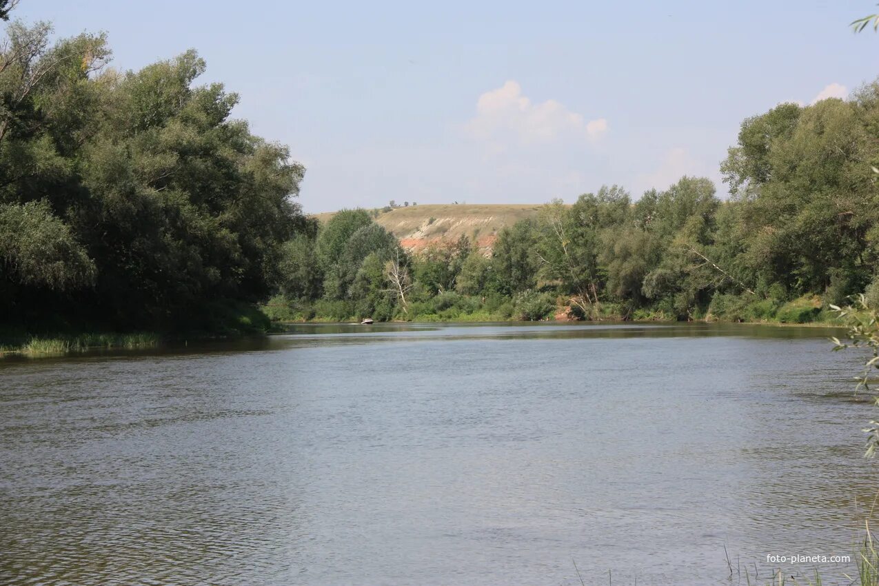 Река большой кинель в самарской области