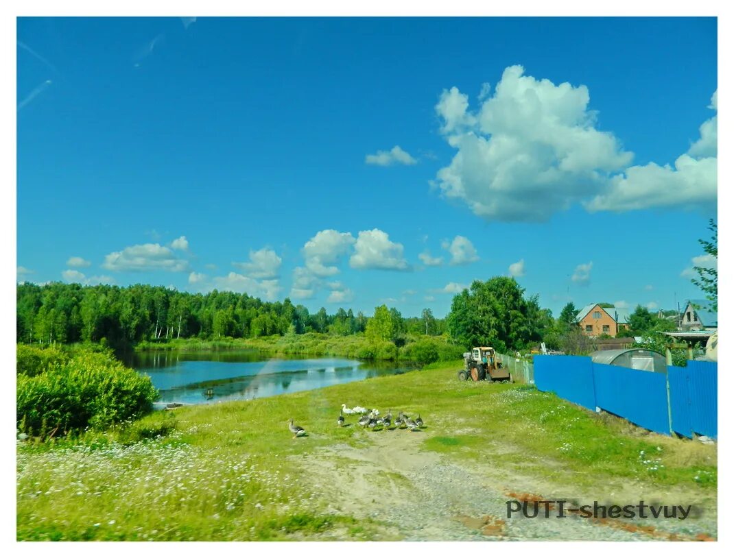номер ветлечебницы нижнетавдинский район тюменская область. бухтал нижнетавдинский район на карте. чугунаево тюмень. новопокровка нижнетавдинский район. природа нижнетавдинского района.