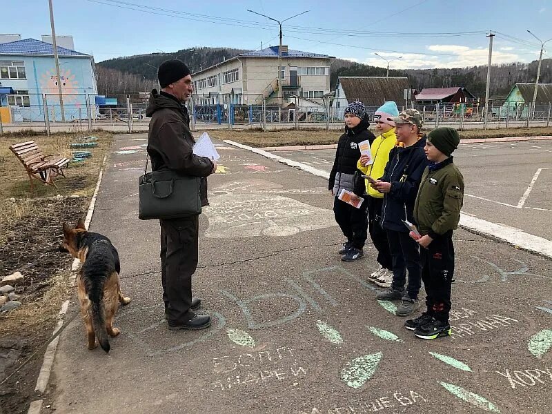 Бархатовский сельсовет красноярский край. Бархатовский сельсовет красноярский край. Бархатовский сельсовет красноярский край. Мбоу бархатовская сош имени ф. Бархатовский сельсовет красноярский край.