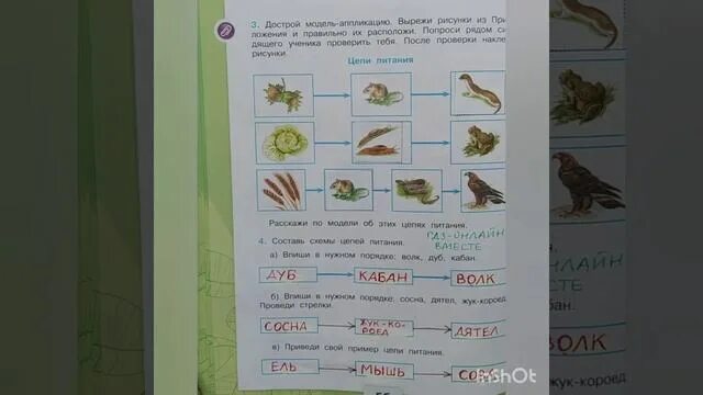 Окружающий мир страница 38 39 номер 2. Окружающий мир 3 класс рабочая тетрадь 1 часть стр 55. Окружающий мир 3 класс рабочая тетрадь 1 часть стр 55 номер 2. Окружающий мир 1 класс 1 часть рабочая тетрадь страница 55. Окружающий мир рабочая тетрадь страница 55.