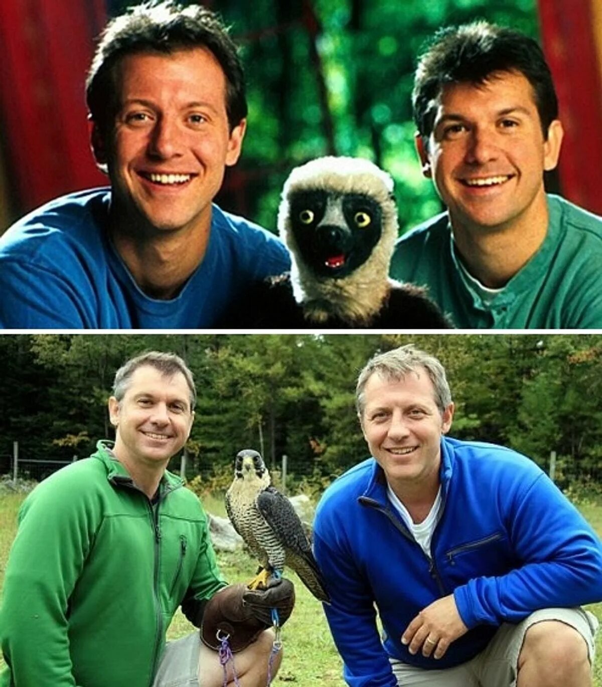 Only zaboo mafoo. Zabu mafu. Only zaboo mafoo. Zabu mafu. Zoboomafoo.