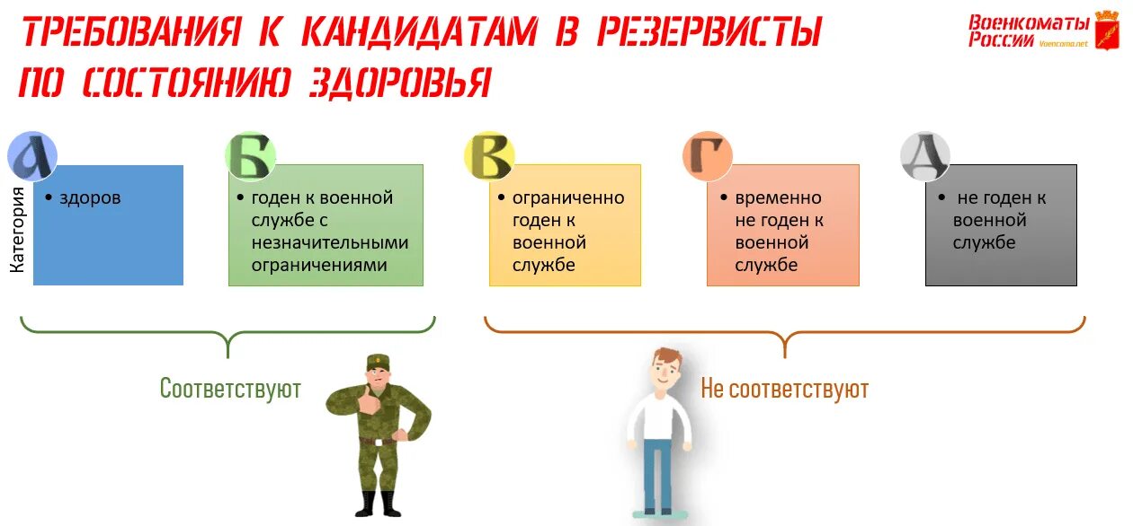 Доброволец на какой срок
