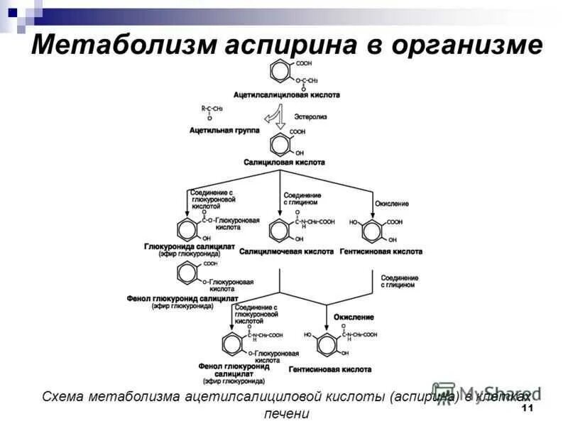 Метаболизм схема 11 класс. Метаболизм аспирина. Схема получения аспирина. Схема метаболизма парацетамола. Механизм действия аспирина