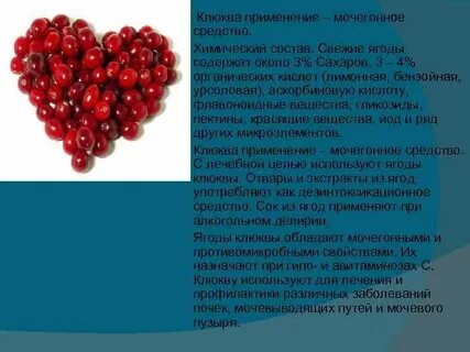 Клюква мочегонная ягода или нет