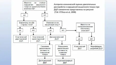 Структура дцп