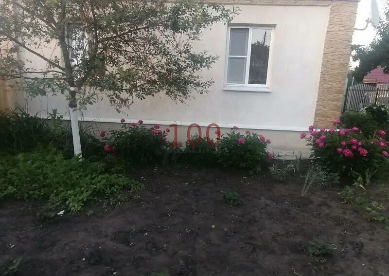 Олымский сахарный завод курская область. Погода в олымском курской обл. Погода в олымском курской обл. Посёлок олымский. Олымский курская область.