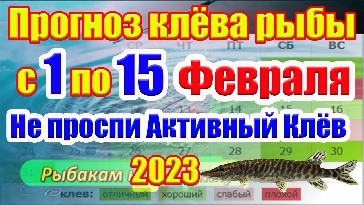 Прогноз клева по лунному календарю 2025 Календарь рыбака на Июнь 2023 Прогноз клева рыбы на Эту неделю Лунный календарь