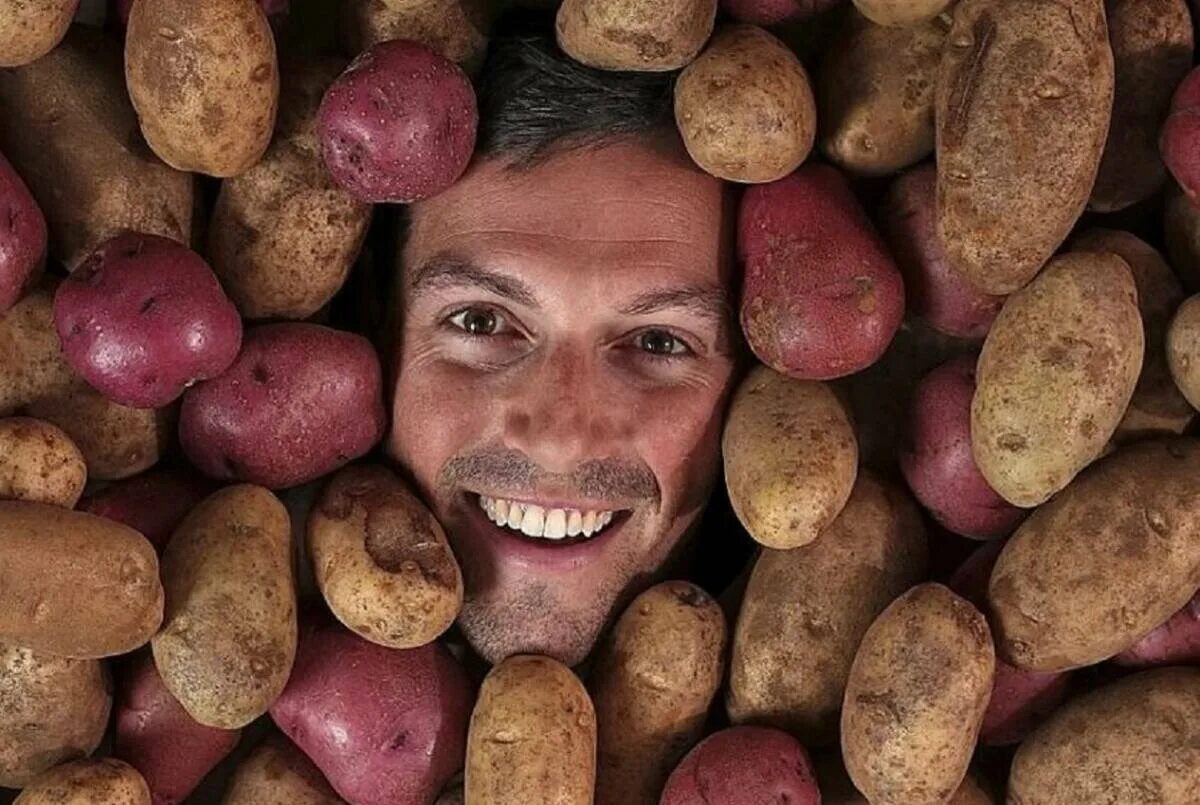 Картофель мужской род. Смешная картошка. Много картошки. Мужик с картошкой.