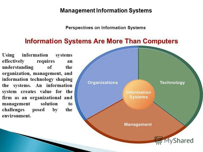 Management information system