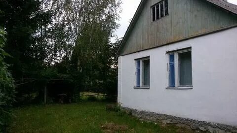 Погода в мамоново пронского