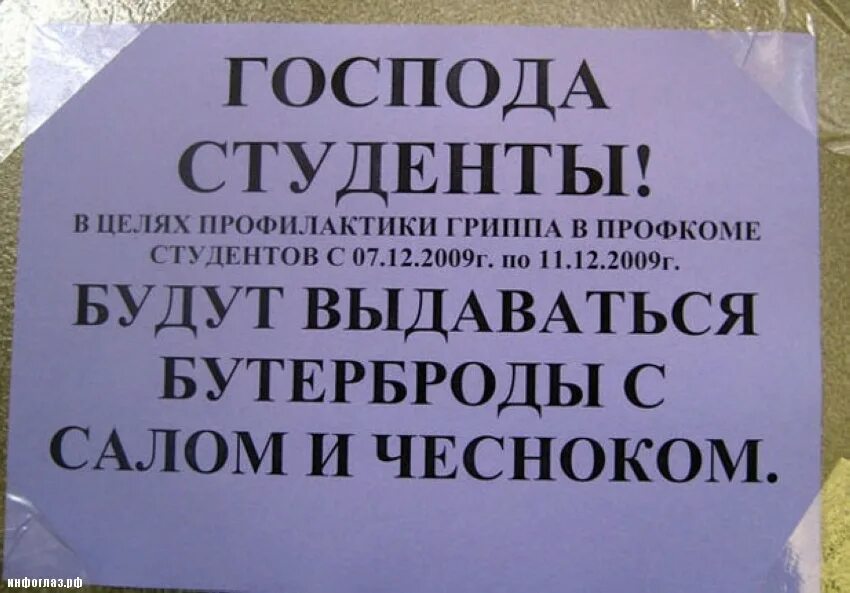 Смешные студенческие. Смешные надписи. студенческие приколы. студенческие шутки. студенты юмор.
