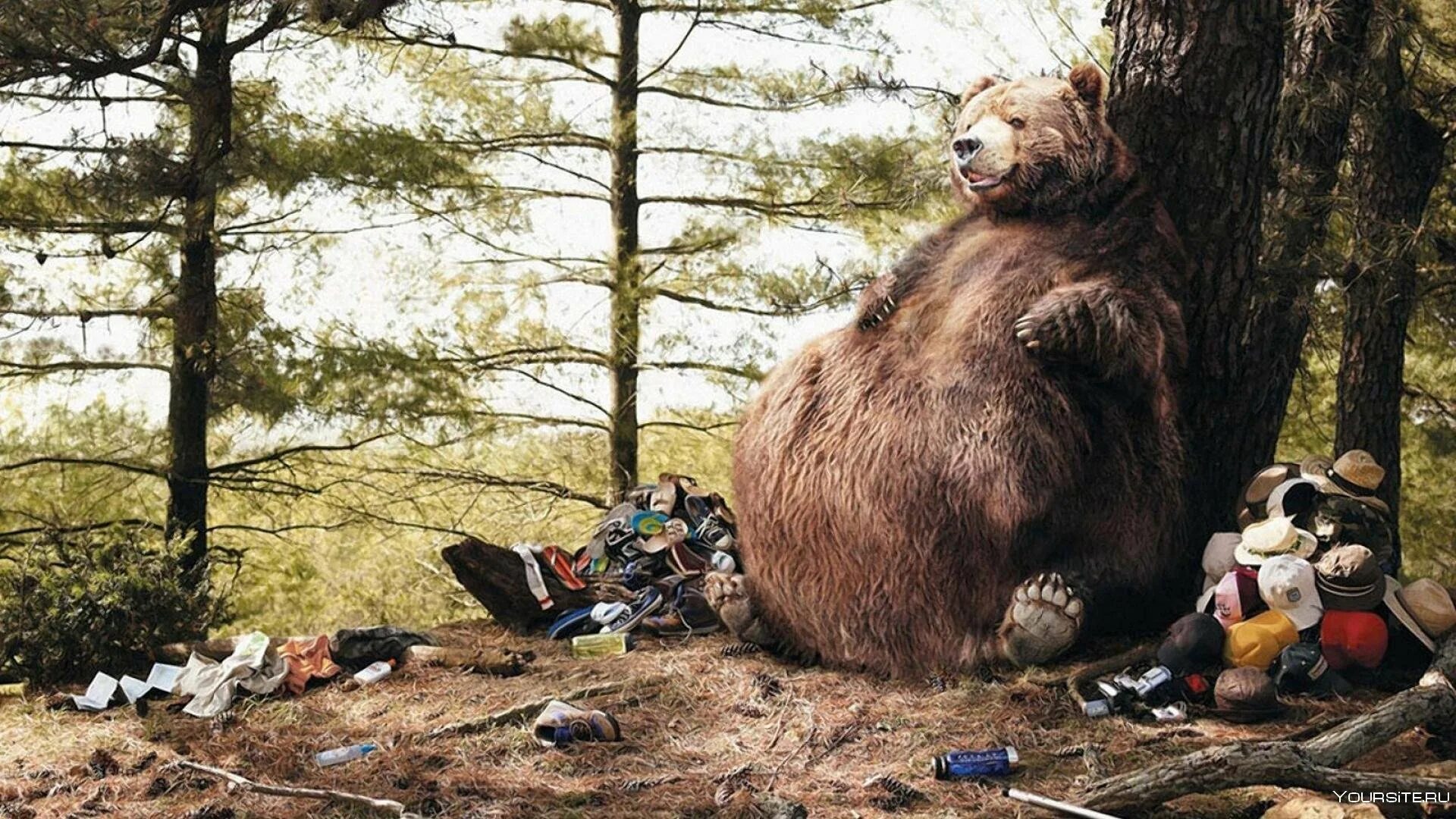 Украсть медведя. Толстый медведь. Встреча с медведем. Медведь в лесу.