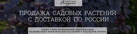 Агропитомник вишняково каталог