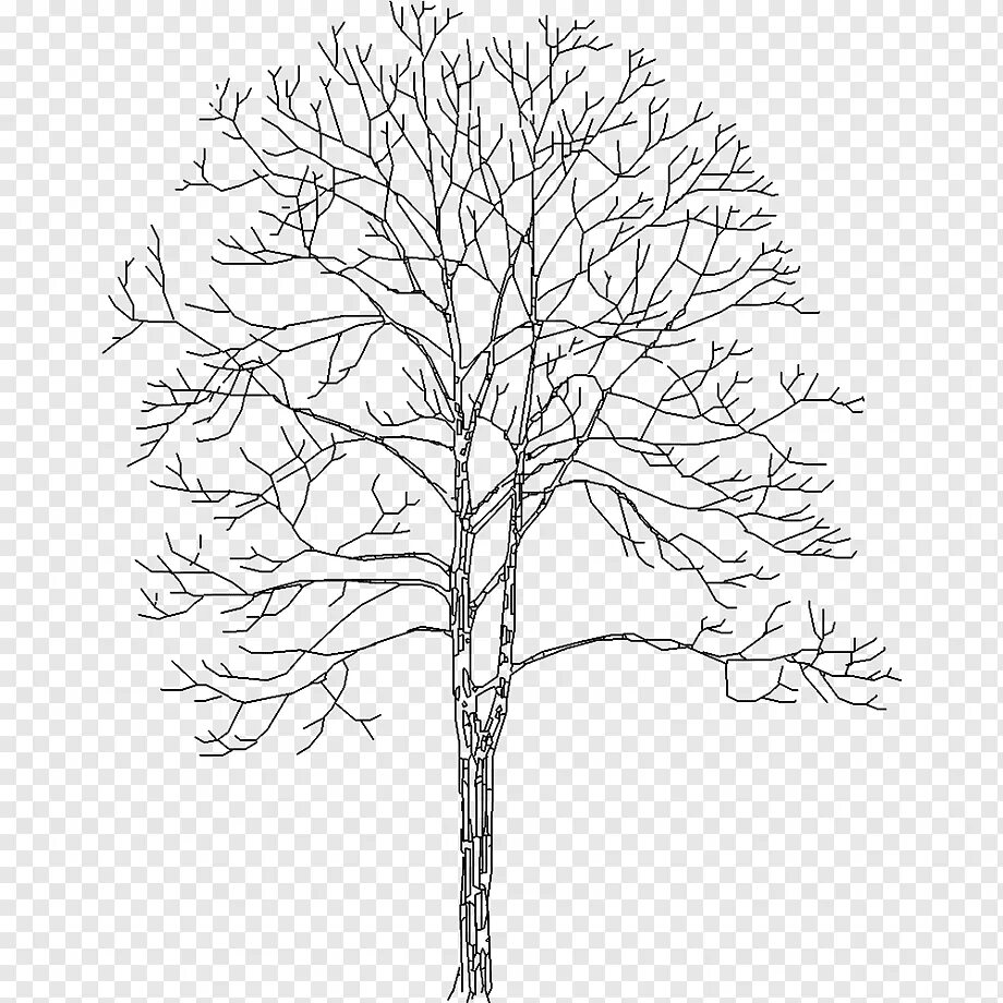 Дерево чертеж. Деревья антураж сбоку. Дерево чертеж сбоку. Чертежные деревья. Деревья черчение.