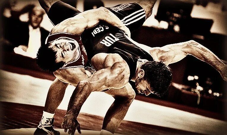Фразы про борьбу. Статусы про вольную борьбу. Цитаты спортсменов. Поговорки про борцов. Вольная борьба прогиб.