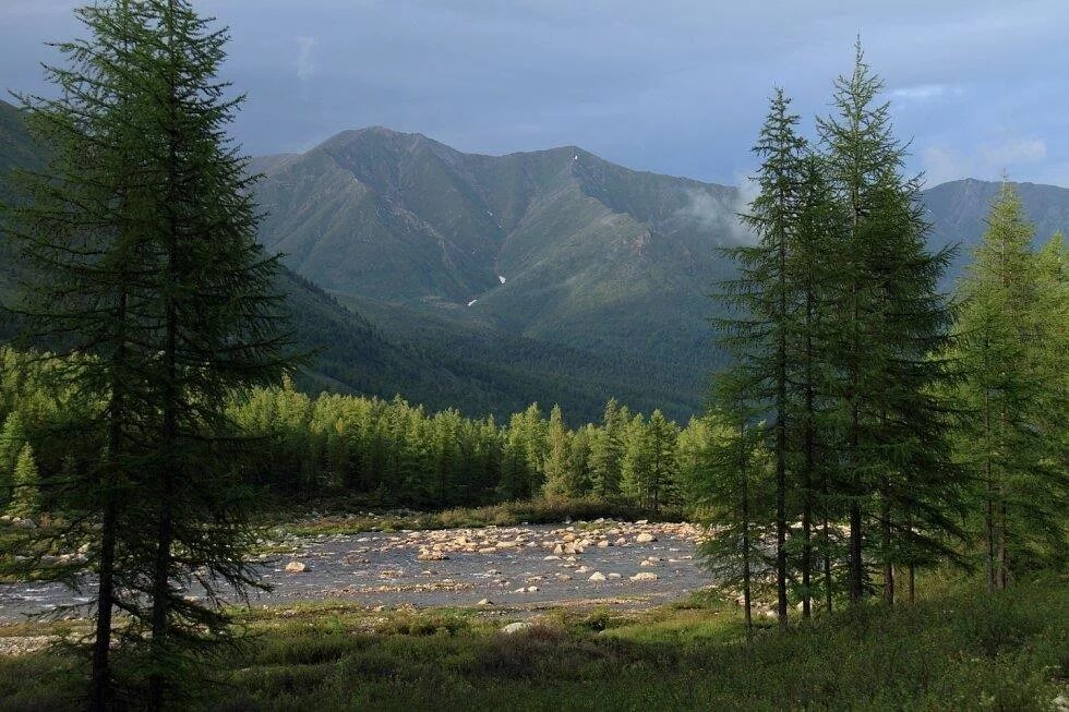 Тц саяны. Киноафиша саяны ивановском. Отроги саян. Центр саяны. Тофалария горы.