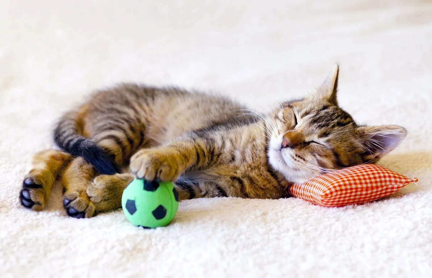 Котенок любит играть. Котенок лежит. Котята играются. Подушка "котёнок". Кошка играет.