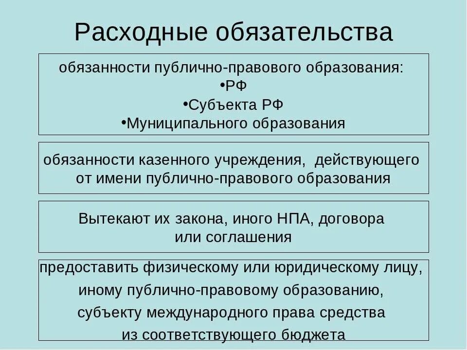 Расходные обязательства это. Расходные обязательства и публичные обязательства. Расходные обязательства публично-правовых образований. Расходные обязательства муниципального образования. Обязанности казенного учреждения