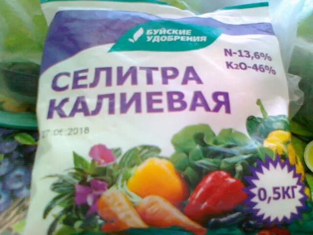 Кальциевая селитра для рассады томатов применение. Калиевая селитра удобрение. Калийная селитра удобрение. Калийная селитра для томатов. Селитра калиевая флораф.