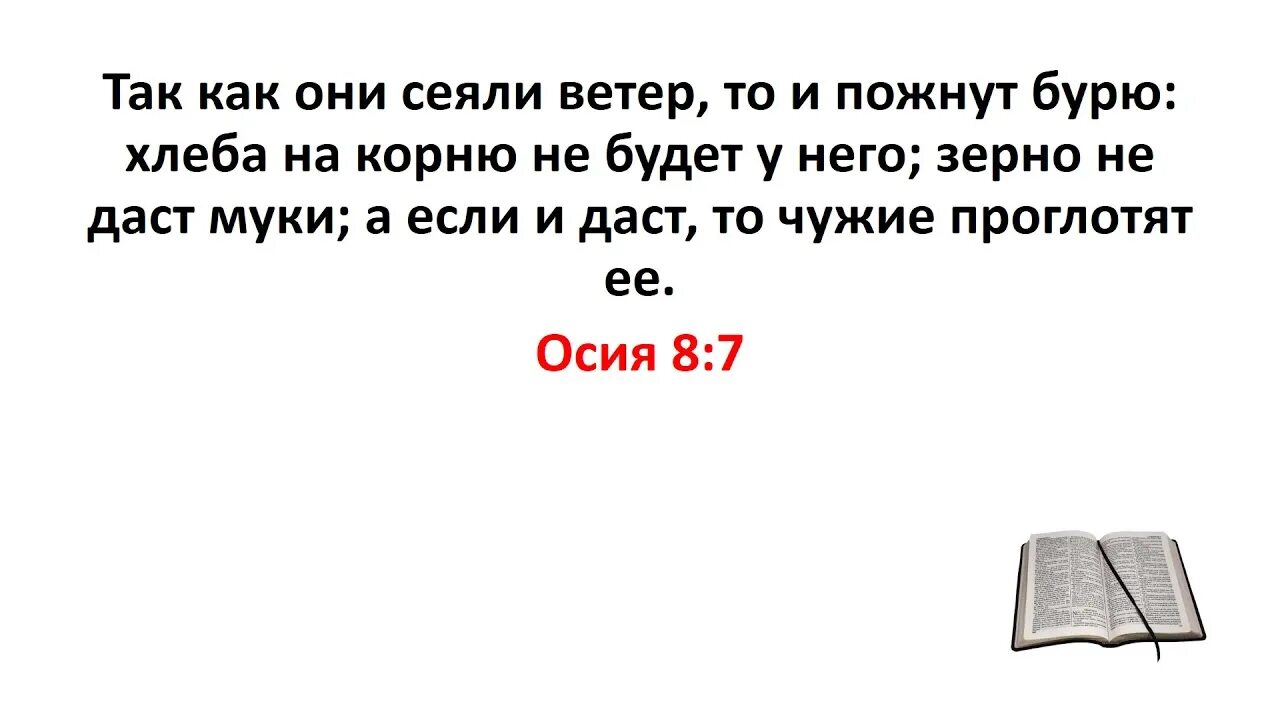 Так как они сеяли ветер то и пожнут бурю. Посеешь ветер пожнешь бурю Библия. Так как они сеяли ветер, то и пожнут бурю» (книга пророка Осии 8, 7).. Сеющий ветер. Посеяли ветер пожали бурю