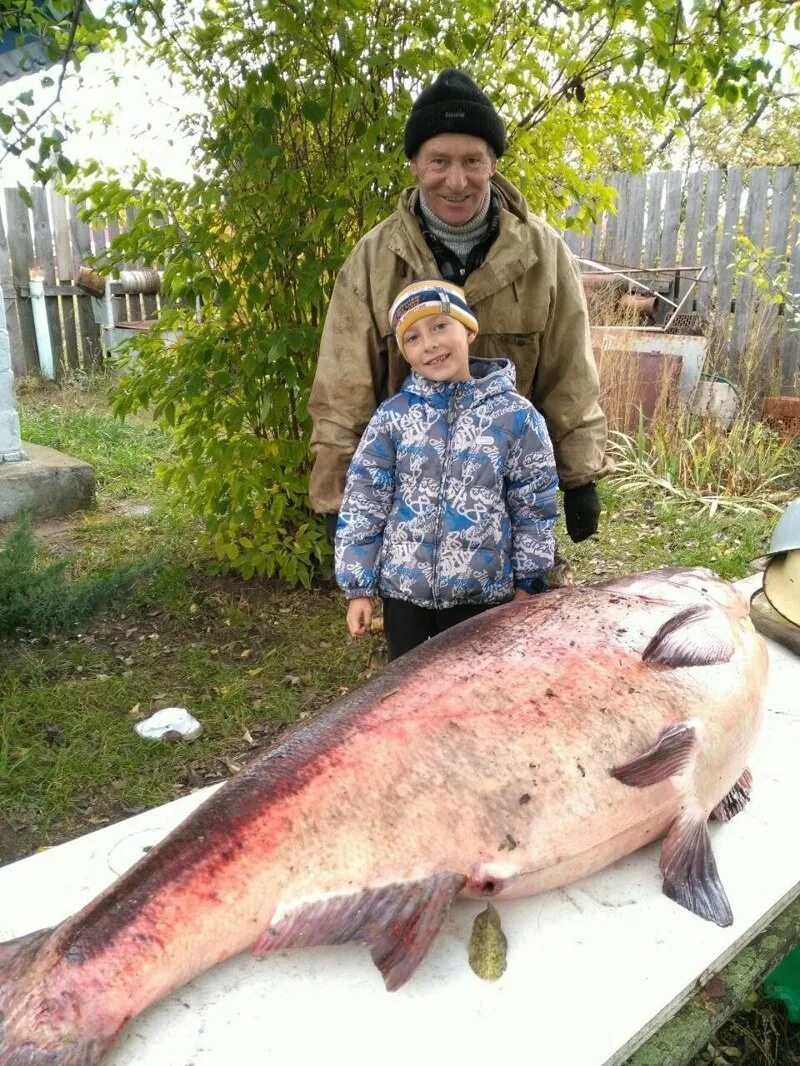Какую самую большую рыбу поймала