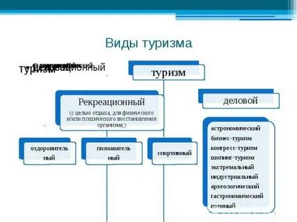 Выбери виды туризма