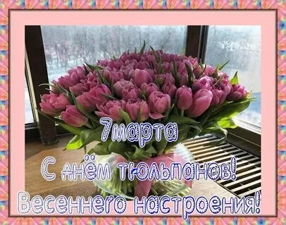 Поздравления с днем тюльпаны
