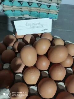 Колосовка доска объявлений продам яйцо