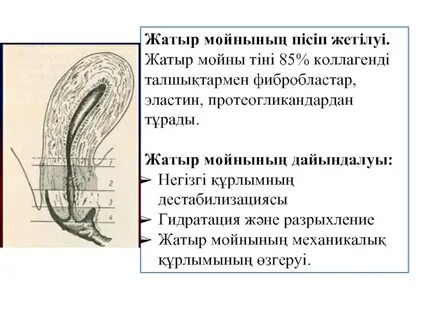 Сүйкімді томпақ порно видеолар