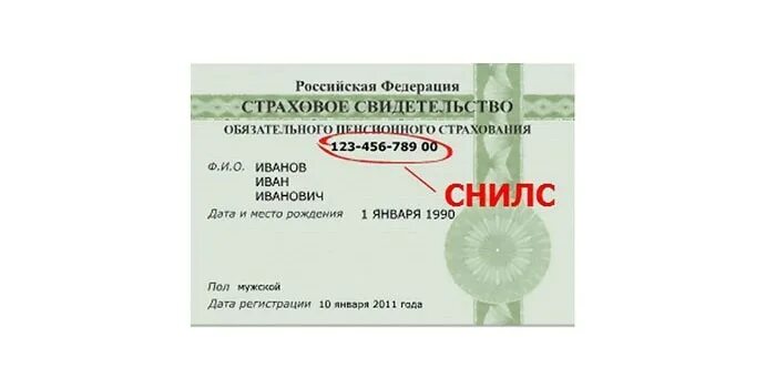 Смена снилс после замужества. Страховой полис снилс. форма снилс для печати. снилс логотип. снилс 2025.