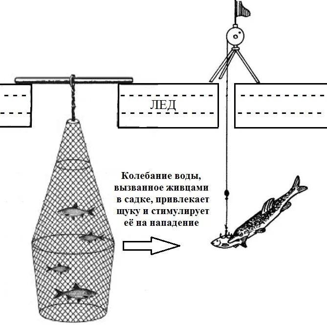 Способы лова. Приспособление для ловли живца. Приспособление для ловли щуки на живца. Оснастка зимней жерлицы на щуку. Оснастка под живца.