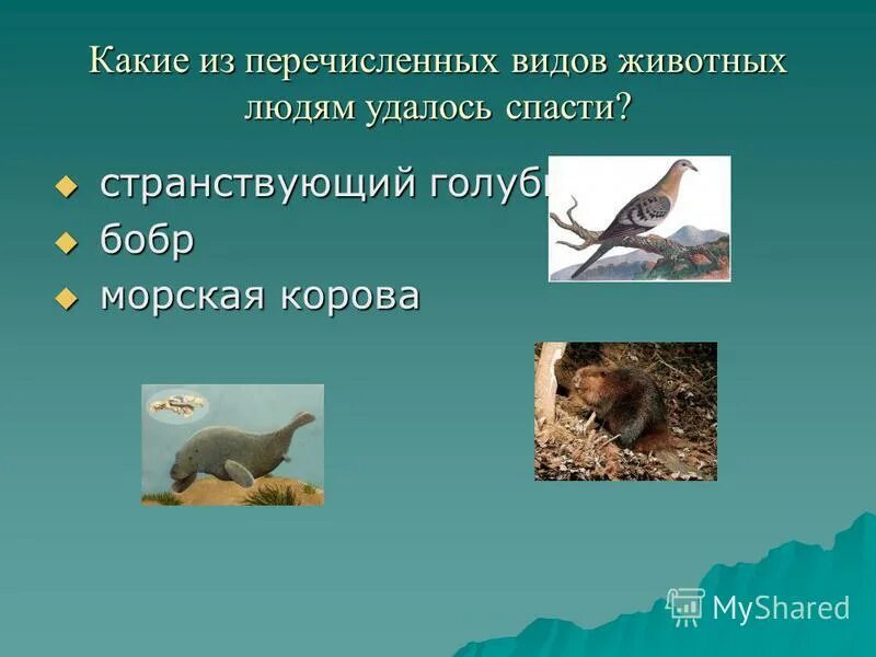 Отметь на рисунке хищников 3 класс. Задание на тему какие бывают животные. Виды животных тест 3 класс. Звери 1 класс окружающий. Сколько птиц на рисунке.