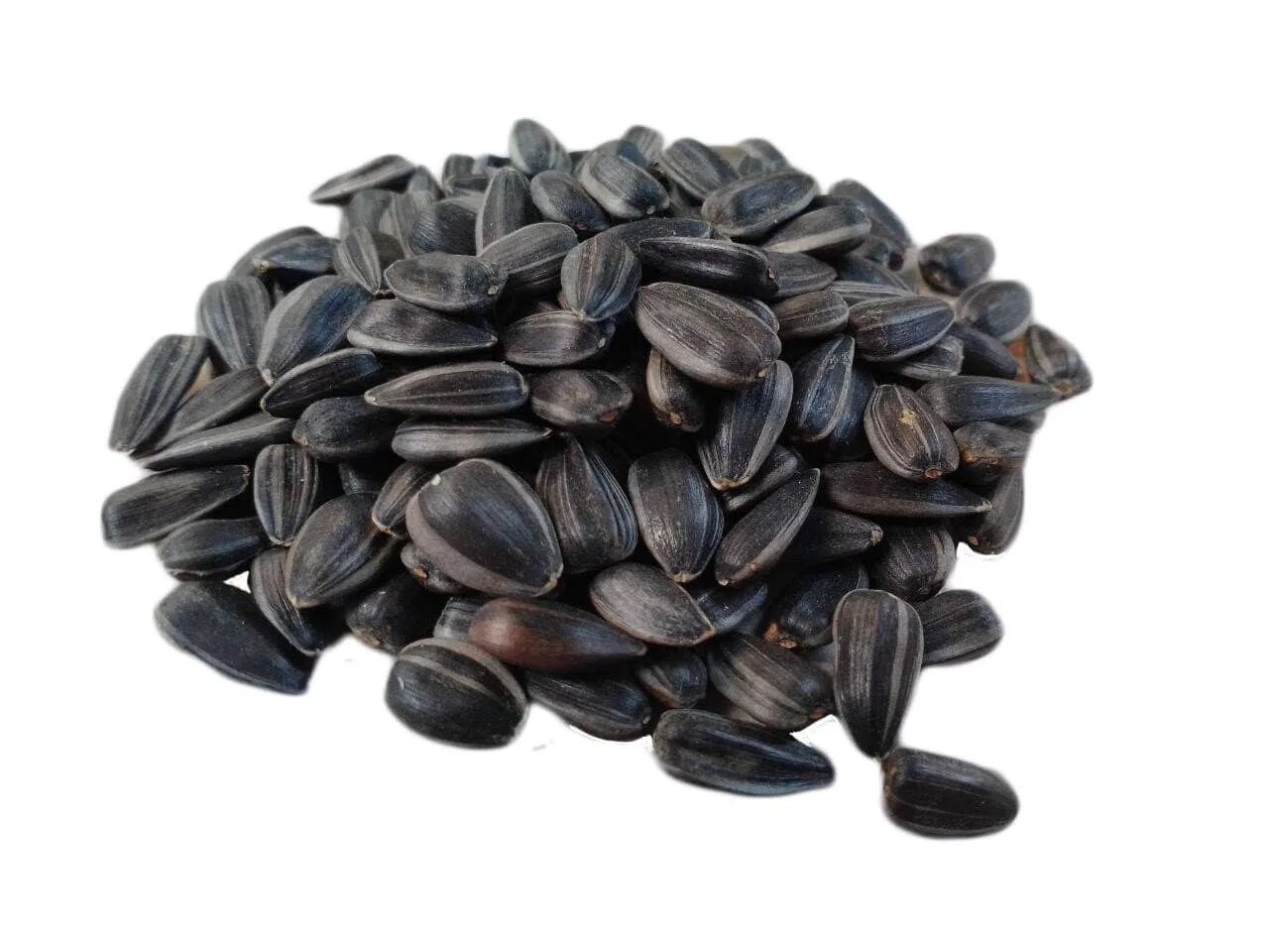 Семечка черная. Острые семечки. Семечки черные. Килограмм семечек. Семечка одна.