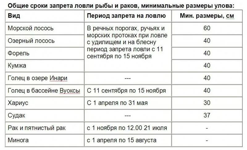 Запрет на ловлю рыбы в башкирии. Штрафы за рыбу в 2025 году. штраф за ловлю рыбы. период запрета рыбной ловли. ограничения на лов рыбы.