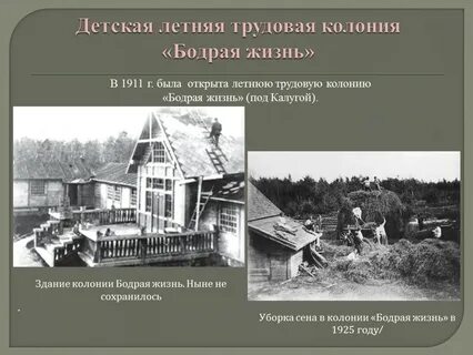 Трудовая жизнь школы