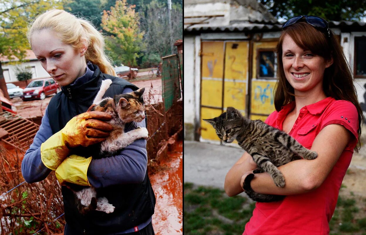 Кот в вентиляционной трубе. Девушка спасающая кошек. Девушка спасающая кошек. Девушкасасается с кошкай. Девушка спасающая кошек.