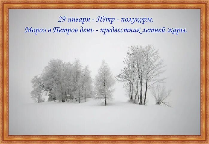 Александров день картинки. Петр полукорм 29 января. Народный календарь Петр полукорм. Петр полукорм народный праздник. 29 Января народный календарь.