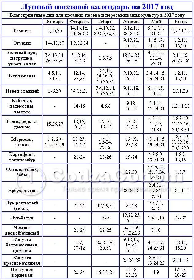 Лунный посевной календарь. Лунный календарьпосеаной. Лунный календарь посадок. Лунный календарь для посева. Пересадка рассады помидор в марте благоприятные 2024