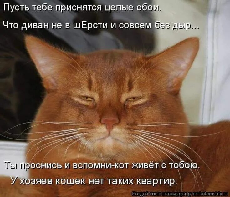 Лучше изнашиваться чем ржаветь. В ульяновске заржавел памятник рублю. Лучше стереться чем заржаветь. Потрачено демотиваторы. Памятник рублю в ульяновске.