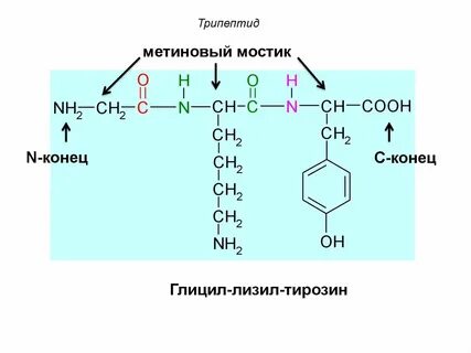 C конец
