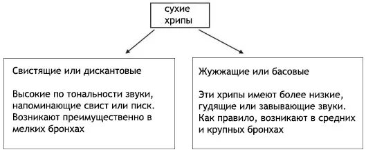 Виды хрипов. Сухие жужжащие хрипы. Жужжащие хрипы в легких. Сухие хрипы какие бывают. Механизм образования сухих хрипов.